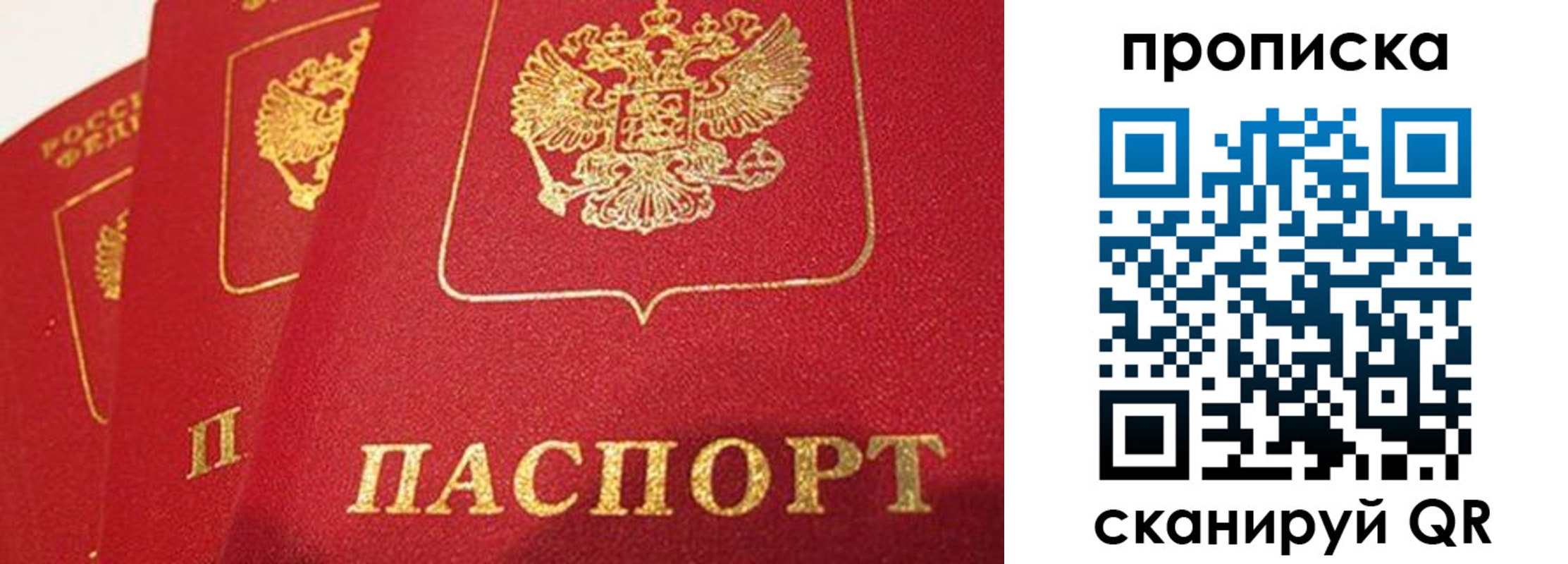 прописка паспорт в Кингисеппе