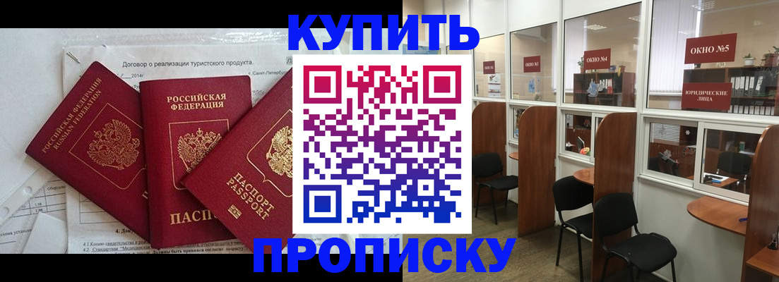 временная регистрация поиск в Кингисеппе